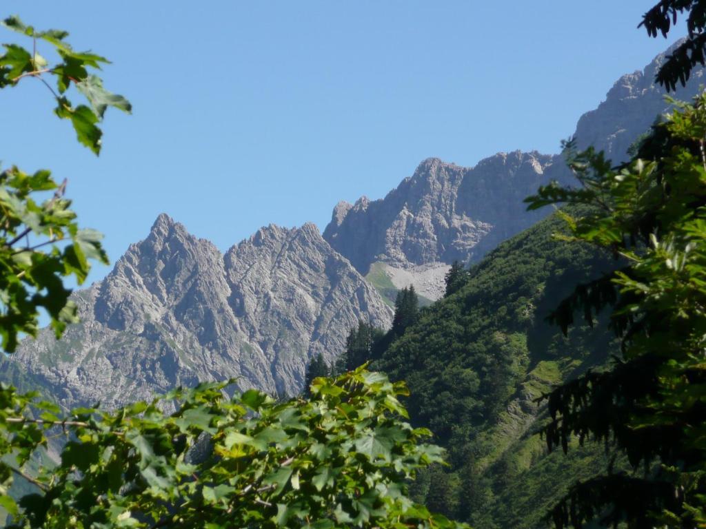 Gaestehaus Schuler Riezlern Rum bild