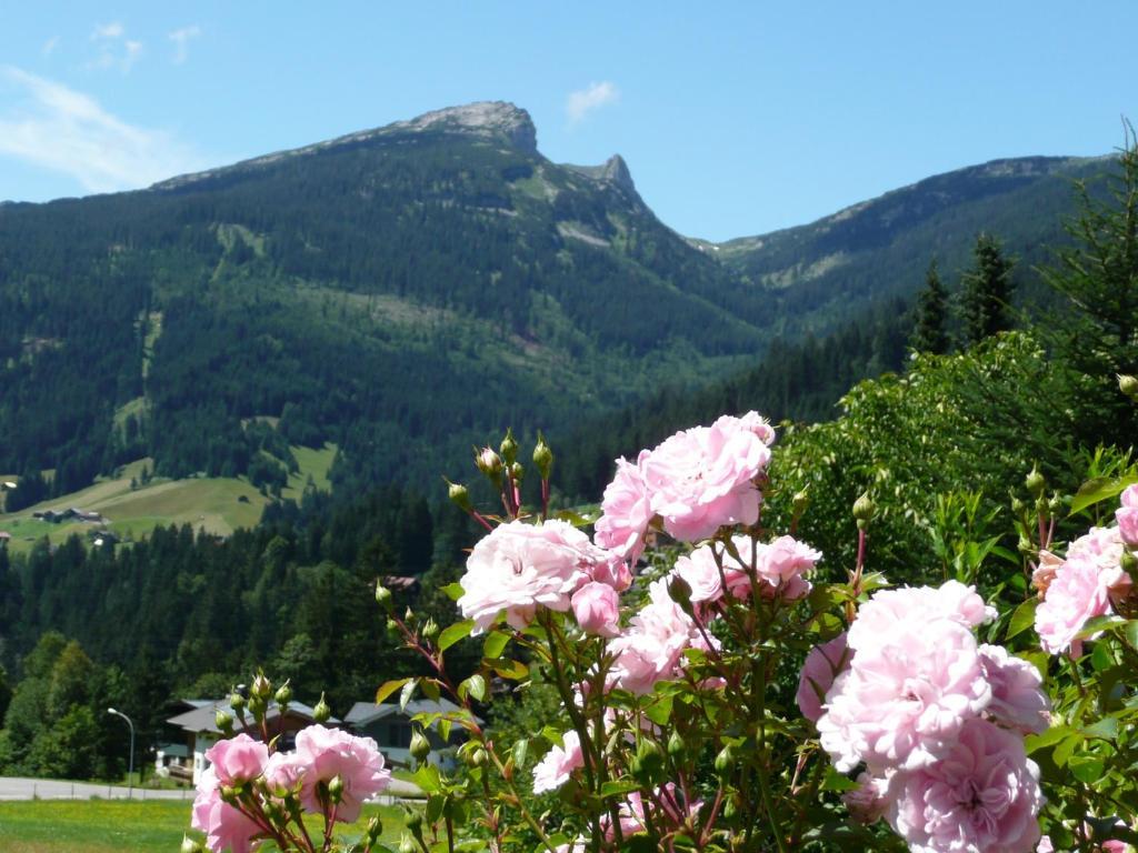 Gaestehaus Schuler Riezlern Exteriör bild